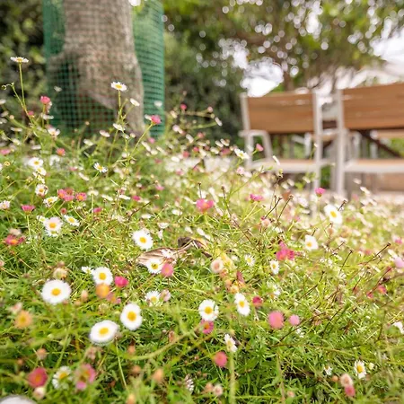 Apartment Guestready - A Wonderful Haven With Garden *